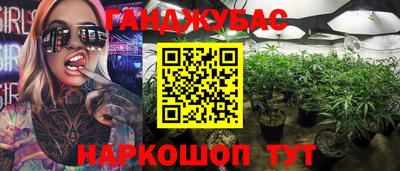 твердый Камень-на-Оби
