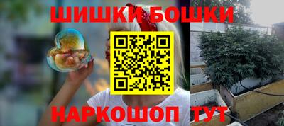твердый Камень-на-Оби